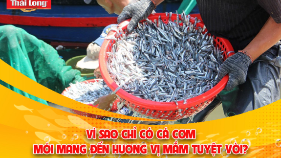 VÌ SAO CHỈ CÓ CÁ CƠM MỚI MANG ĐẾN HƯƠNG VỊ MẮM TUYỆT VỜI?